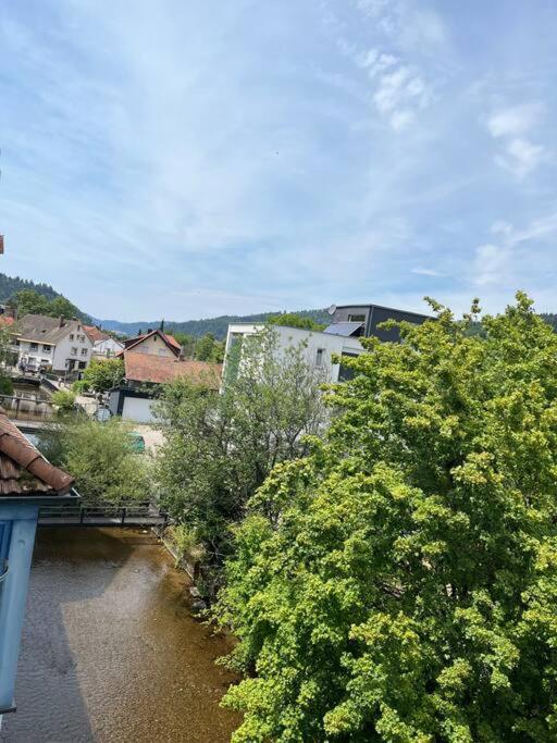Loewen Appartement Hausach Zewnętrze zdjęcie