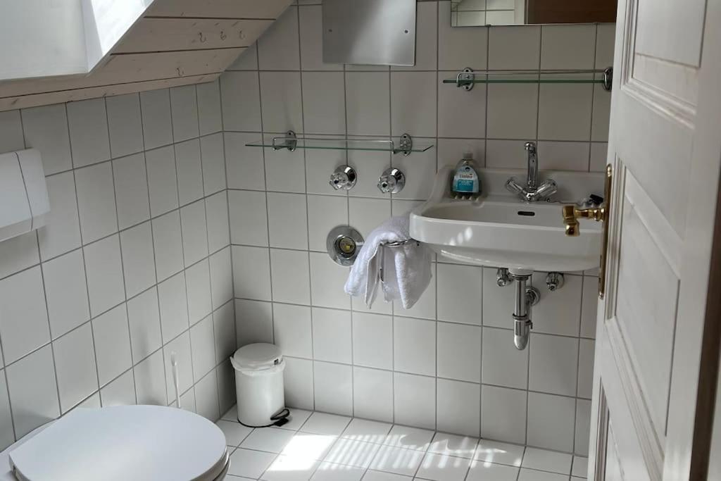 Loewen Appartement Hausach Zewnętrze zdjęcie