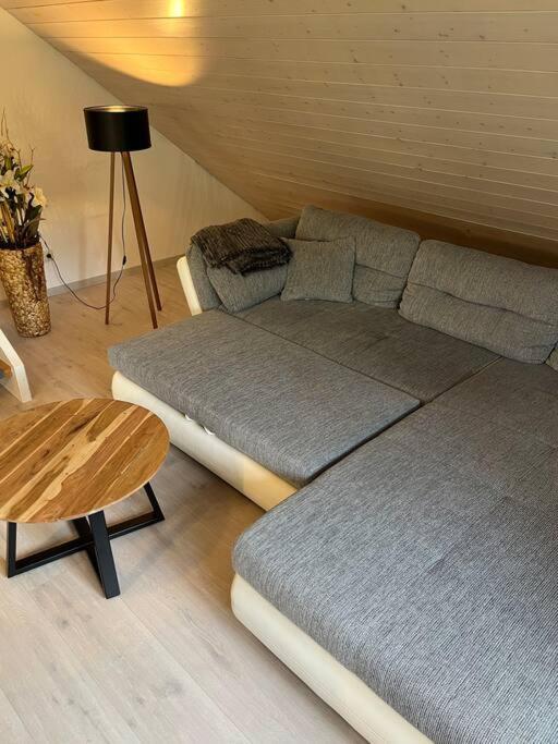 Loewen Appartement Hausach Zewnętrze zdjęcie